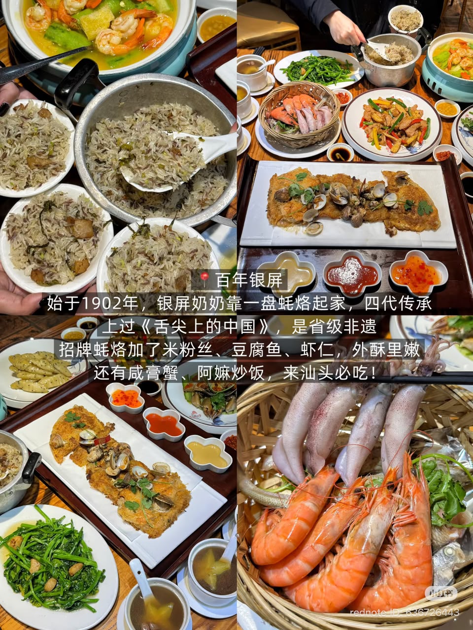 百年银屏